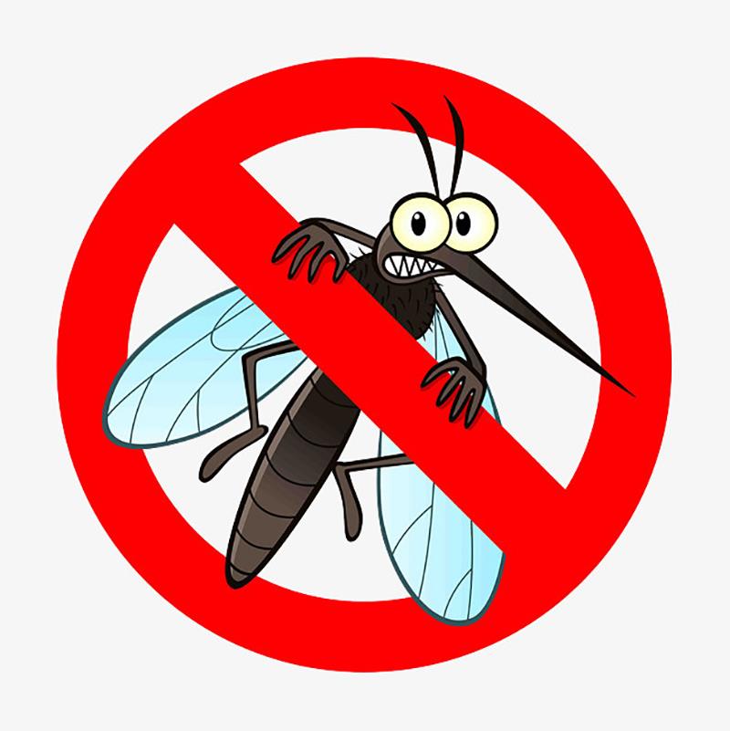 ¿Cuáles son los diferentes tipos de mosquitos?