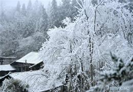 Mundo de congelación! Invierno en la provincia de Hubei de China.