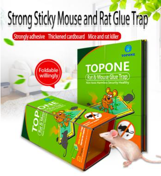 Cómo saber si tienes ratones